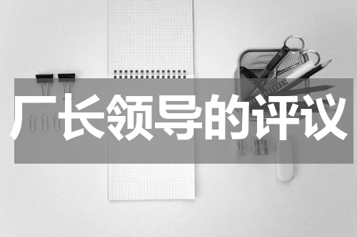 厂长领导的评议