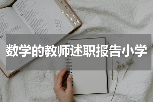 数学的教师述职报告小学