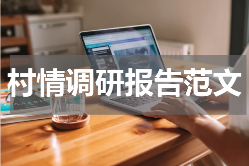 村情调研报告范文