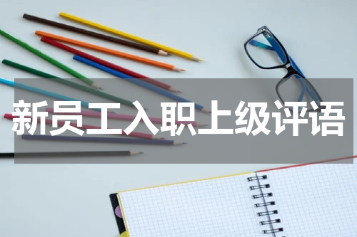 新员工入职上级评语