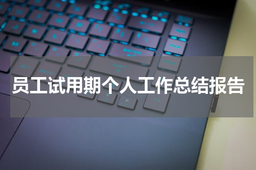 员工试用期个人工作总结报告