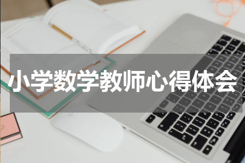 小学数学教师心得体会