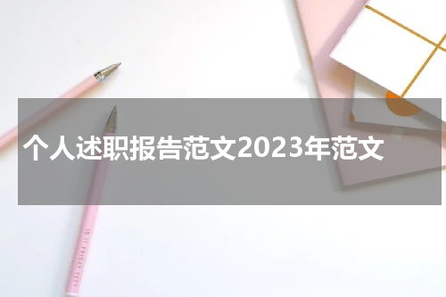 个人述职报告范文2023年范文