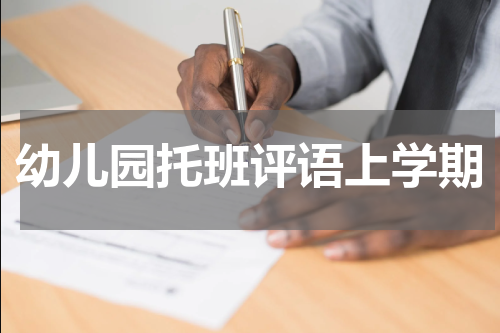 幼儿园托班评语上学期