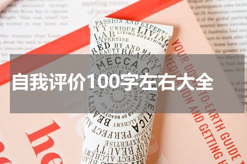 自我评价100字左右大全