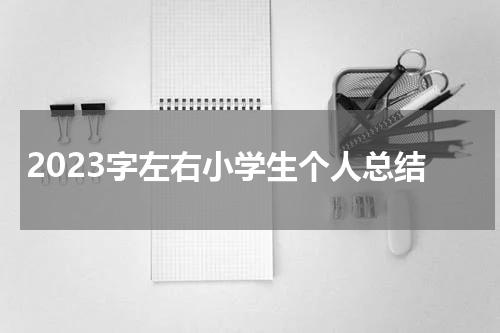 2023字左右小学生个人总结