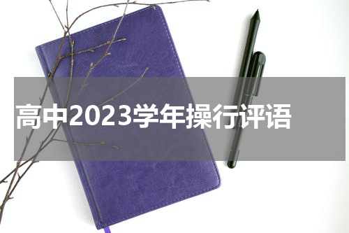 高中2023学年操行评语