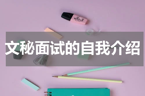 文秘面试的自我介绍