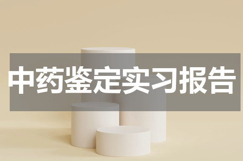 中药鉴定实习报告