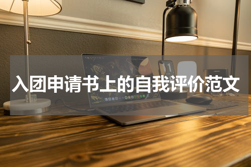 入团申请书上的自我评价范文