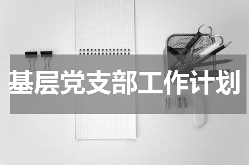基层党支部工作计划