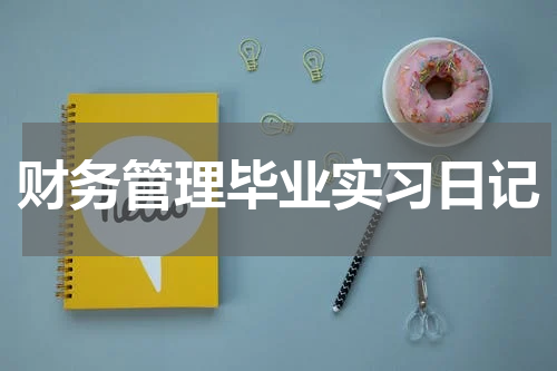 财务管理毕业实习日记