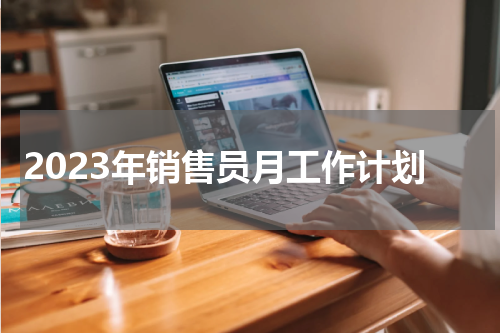 2023年销售员月工作计划