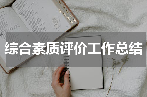 综合素质评价工作总结