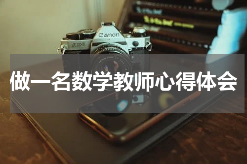 做一名数学教师心得体会