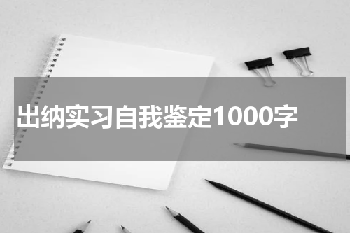 出纳实习自我鉴定1000字