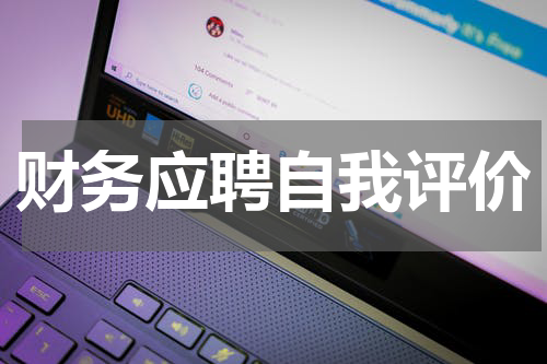 财务应聘自我评价