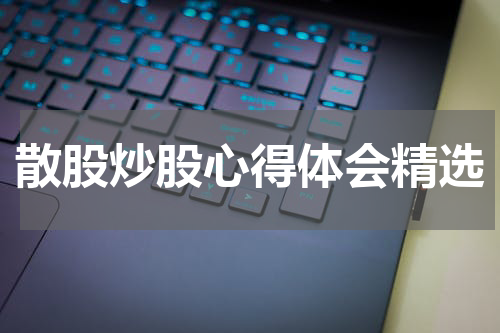 散股炒股心得体会精选