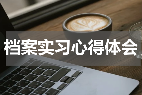 档案实习心得体会