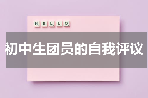 初中生团员的自我评议
