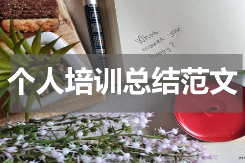 个人培训总结范文
