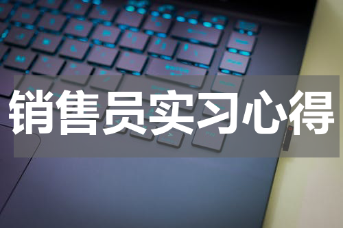 销售员实习心得