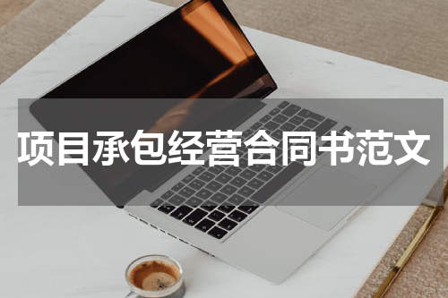 项目承包经营合同书范文