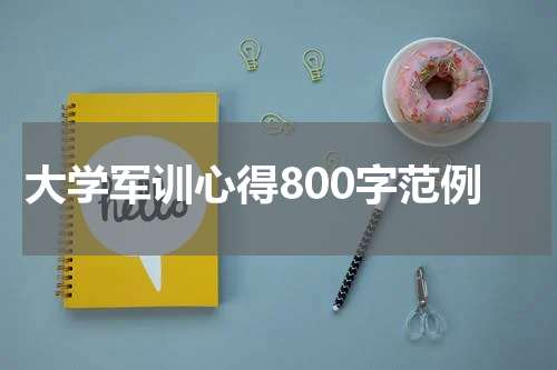 大学军训心得800字范例