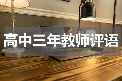 高中三年教师评语