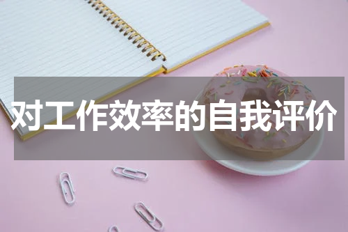 对工作效率的自我评价