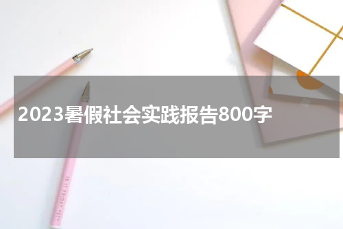 2023暑假社会实践报告800字