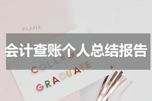 会计查账个人总结报告