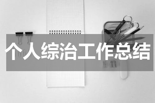 个人综治工作总结