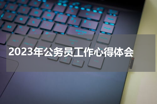 2023年公务员工作心得体会