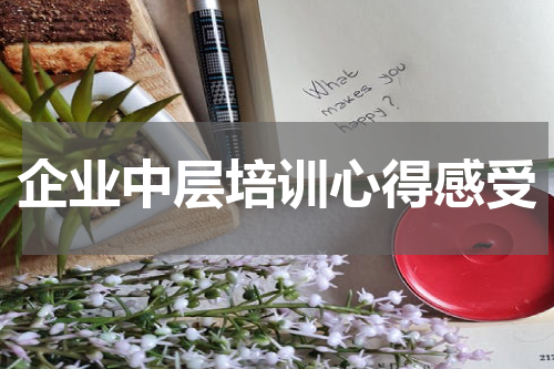 企业中层培训心得感受