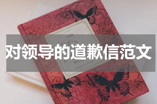 对领导的道歉信范文