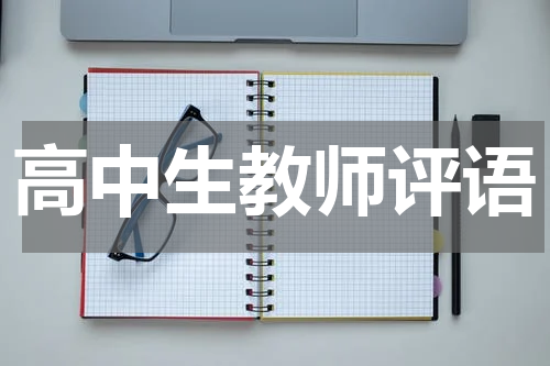 高中生教师评语
