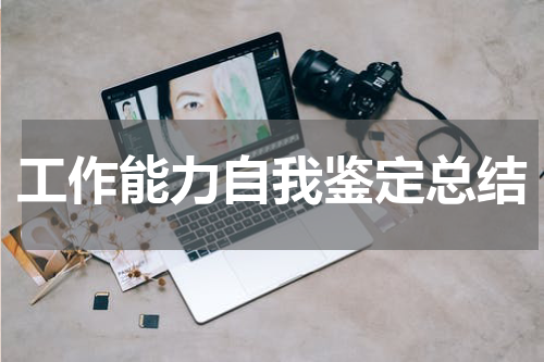 工作能力自我鉴定总结