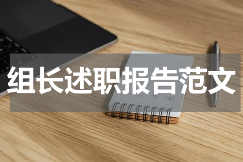 组长述职报告范文