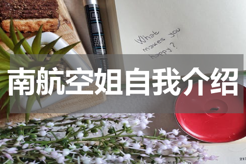 南航空姐自我介绍