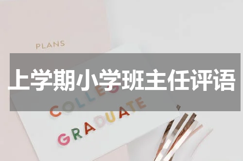 上学期小学班主任评语