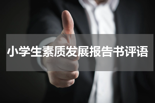 小学生素质发展报告书评语