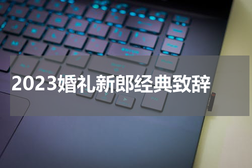 2023婚礼新郎经典致辞