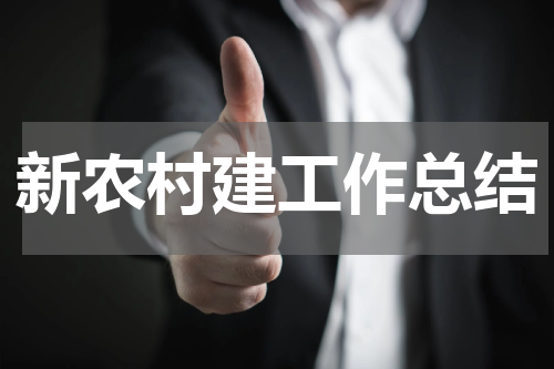 新农村建工作总结