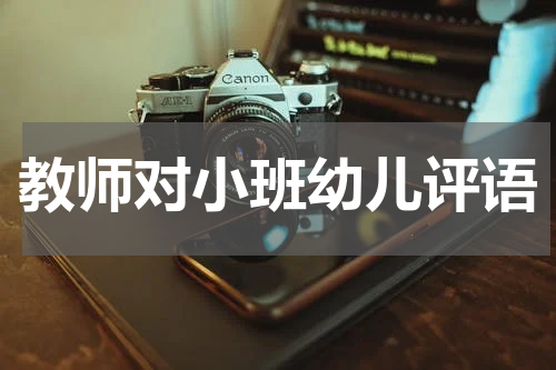 教师对小班幼儿评语