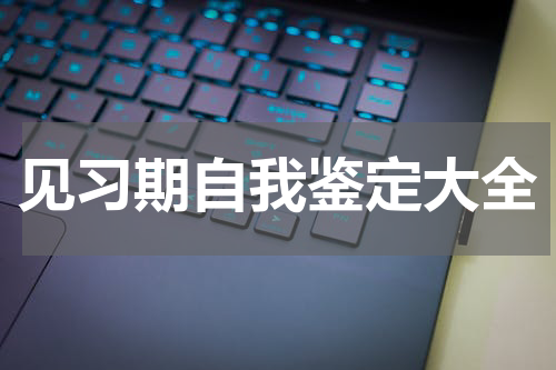 见习期自我鉴定大全