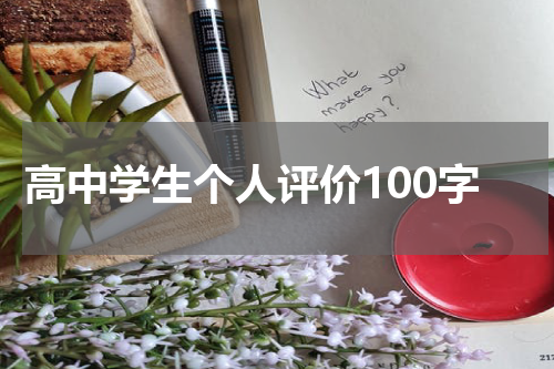 高中学生个人评价100字