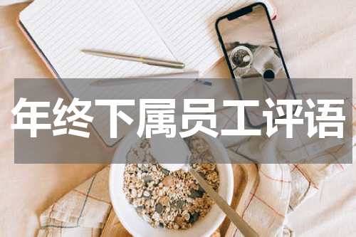 年终下属员工评语