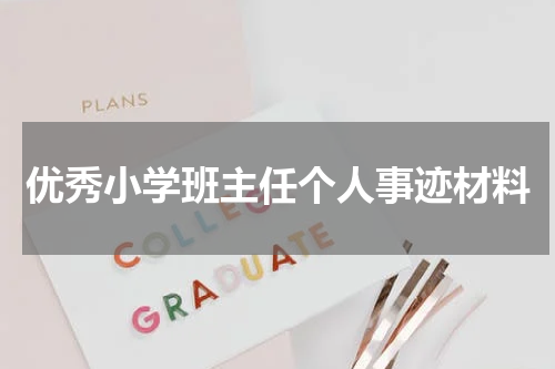 优秀小学班主任个人事迹材料