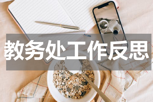 教务处工作反思